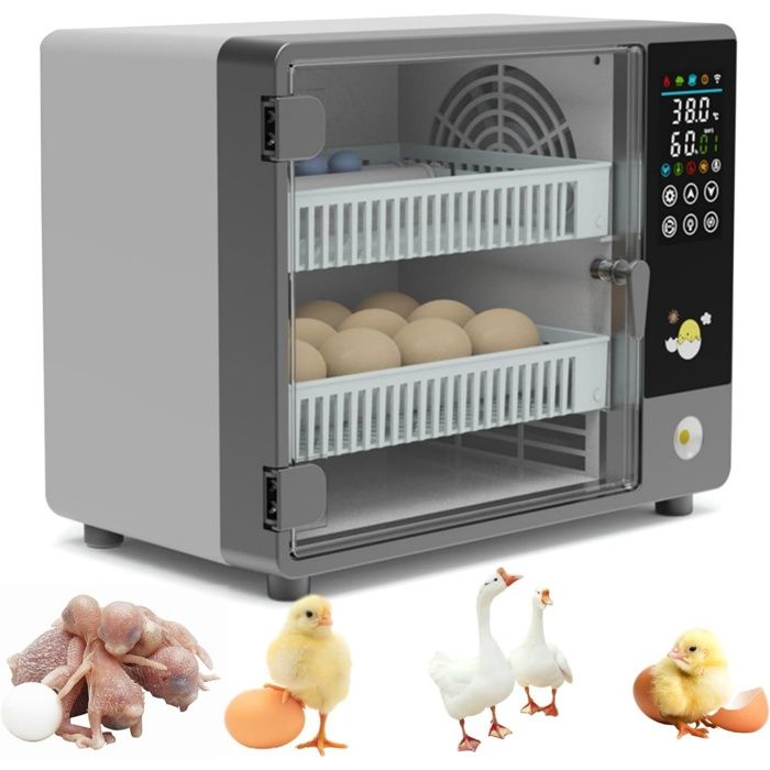 Couveuse œuf Automatique Retournement Automatique Contrôle de Température et Plateau Réglable pour œufs de Poule Caille Canard