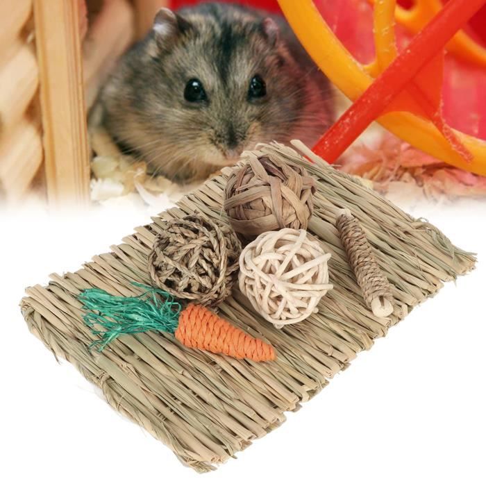 Jouet pour rongeur - ZERODIS - Ensemble de 6 pièces - Tapis dherbe - Non toxique - Odeur naturelle