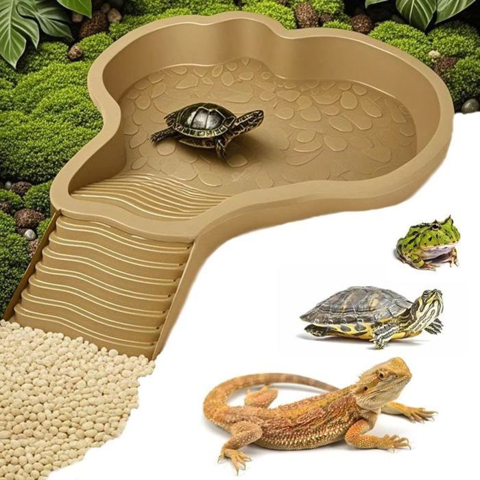 Abreuvoir Tortue Terrestre Bol deau pour Reptiles avec éChelle Rampe Animaux Piscine Accessoire De Distributeur deau