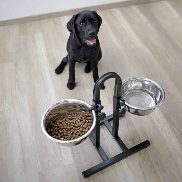 Gamelle pour animaux de compagnie TD® Hauteur réglable Conception séparée Fond antidérapant