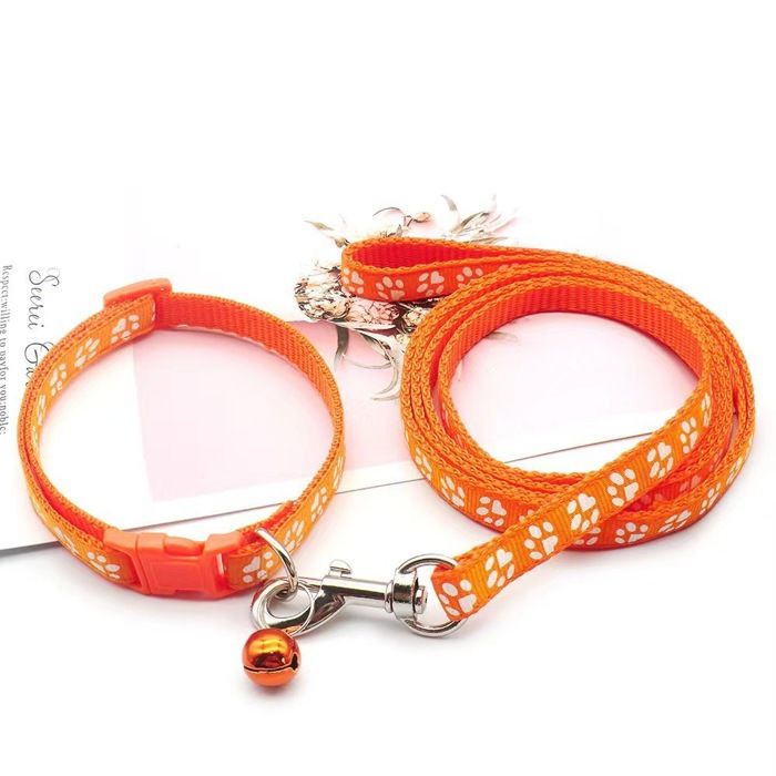 Ensemble Collier et Laisse pour Chien Collier Laisse pour Petit et Moyen Chien Collier Laisse pour Chat