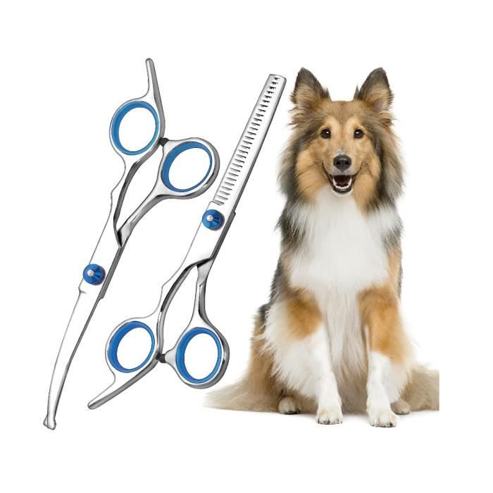 Ciseaux de Toilettage - Courbés - Blanc - Pour Chiens - Kit de Coupe pour Animaux de Compagnie