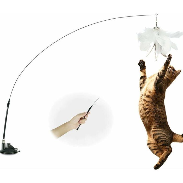 Jouet en plumes pour chat avec clochette et ventouse canne pche interactive pour chaton longueur de 100 couleurs mul ABRI DE JARDIN