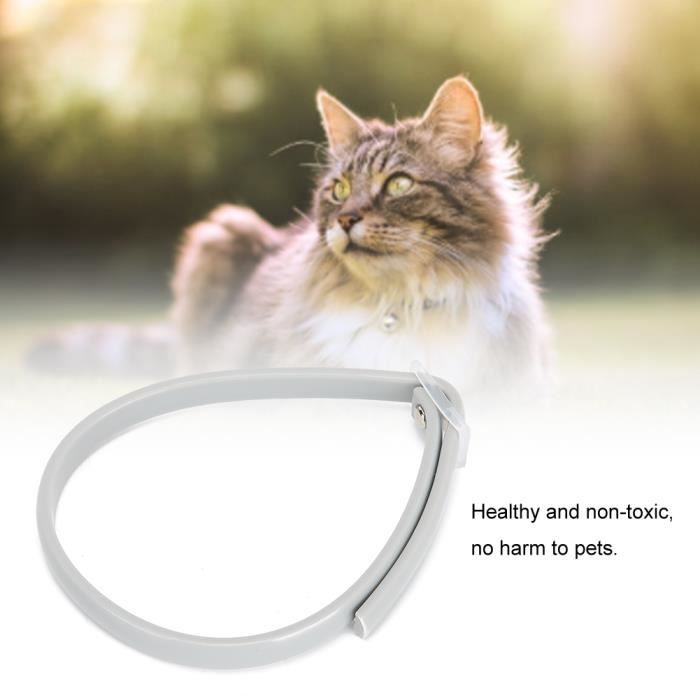 Cocosity Collier Anti-Puces Chat Chien Naturel Soins Animaux