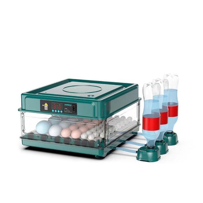 Couveuse Oeuf Automatique 36 Oeufs retournement chronométré standardisation de la température remplissage automatique vert