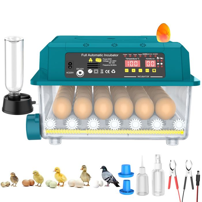 Couveuse Oeuf Automatique 36 œufs avec Retournement Automatique des œufs Contrôle de Température 4 Modes dincubation Automatiques