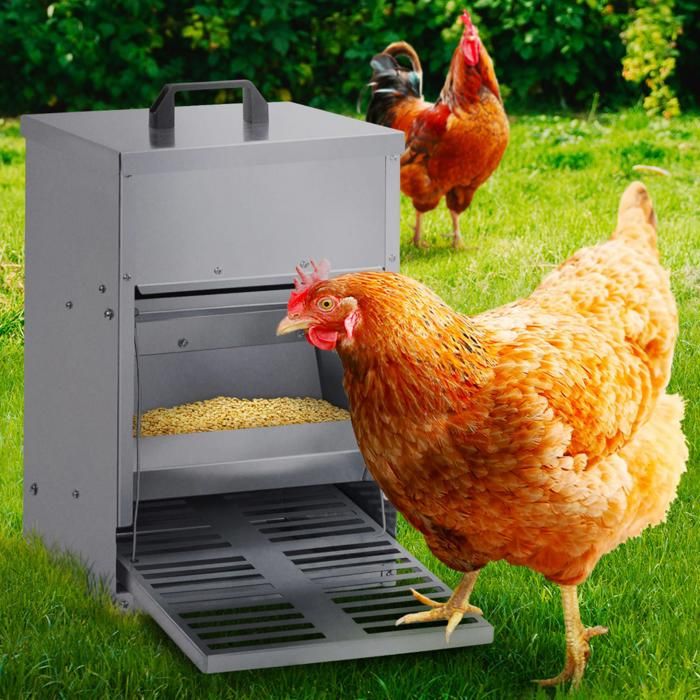 IDMARKET Mangeoire à pédale pour poules distributeur automatique 5 kg anti-nuisibles