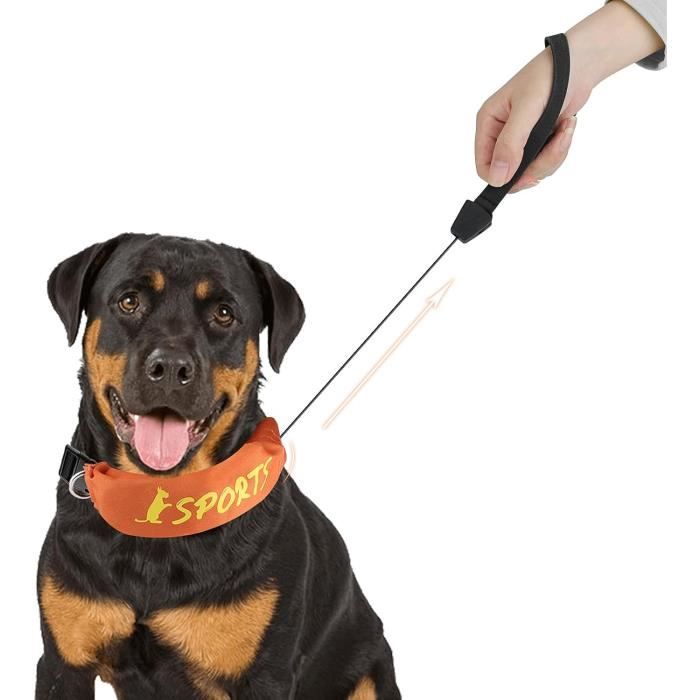 Collier rétractable pour chien – Collier tout-en-un chien – Laisse rétractable intégrée collier réglable taille moyenne et grande