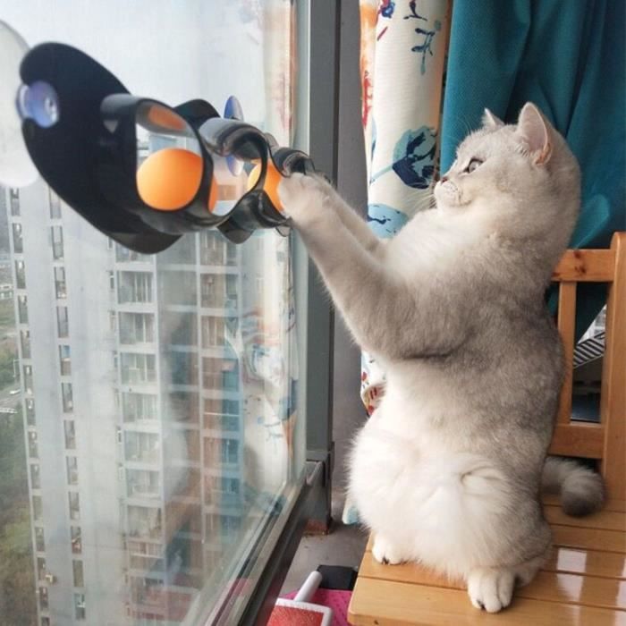 Jouet boule pour chat piste de succion avec balles jouet dintelligence pour animal de compagnie jouet interactif pour chat
