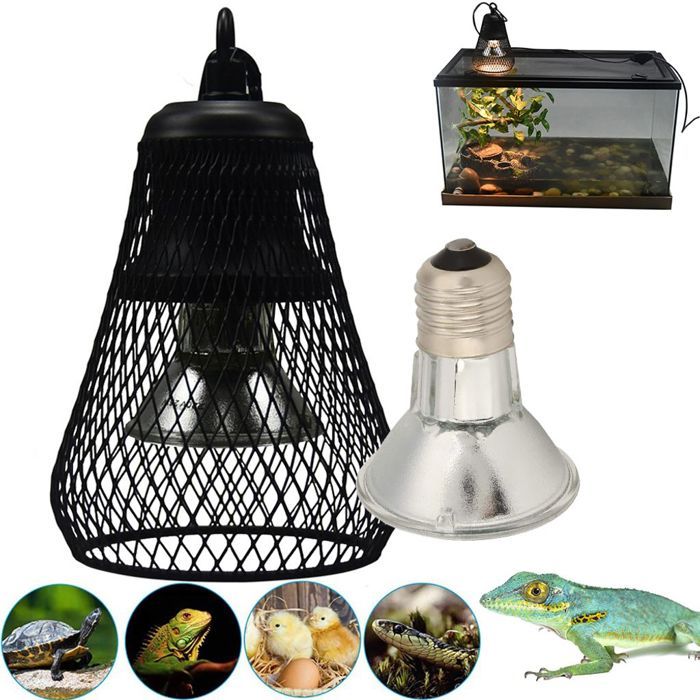 Lampe chauffante UVA UVB 50 W pour reptiles terrarium couveuse pour lézards serpents tortues avec abat-jour