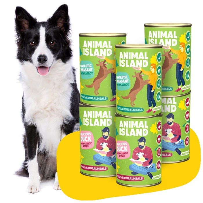 Nourriture Humide Chien - Animal Island - Sans Céréales - Canard Faisan - Lot de 6 x 400 g