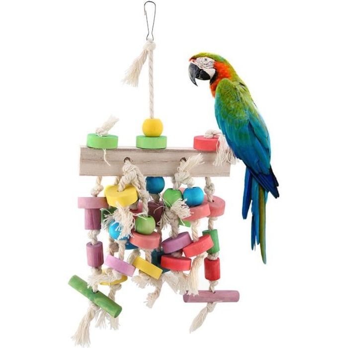 Jouet doiseau - Perroquet - Balançoire en bois - Couleurs vives - 30 cm