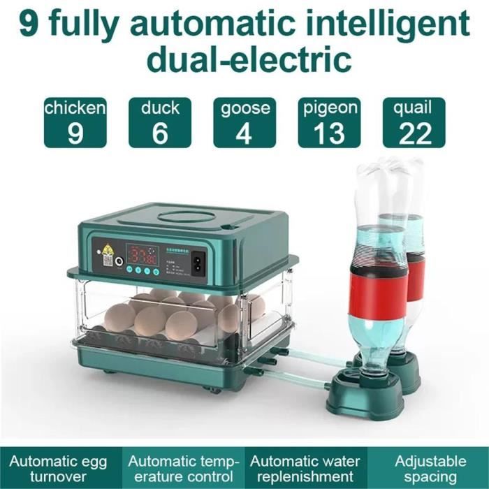 Couveuse Automatique  Couveuse Oeuf avec hydratation de lit deau à ion deau automatique et contrôle de la température 10 oeufs