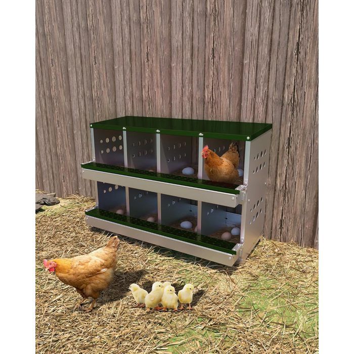Pondoir Pour Poules En Acier Galvanisé Robuste Avec 8 Compartiments-VERT-92L x 42l x 63H