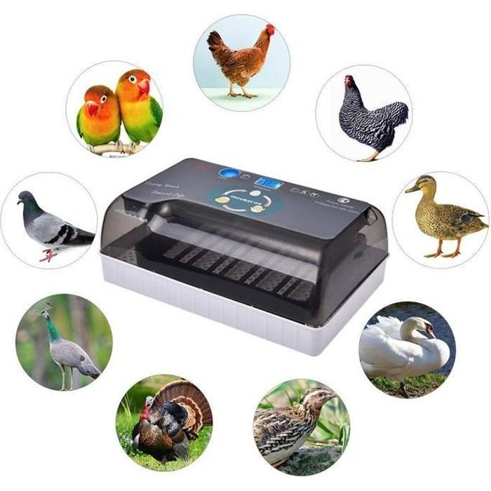Incubateur Oeufs Couveuse Oeuf Automatique pour volaille caille oie Canard Pigeon Reptile avec Manuel en Franais COUVEUSE