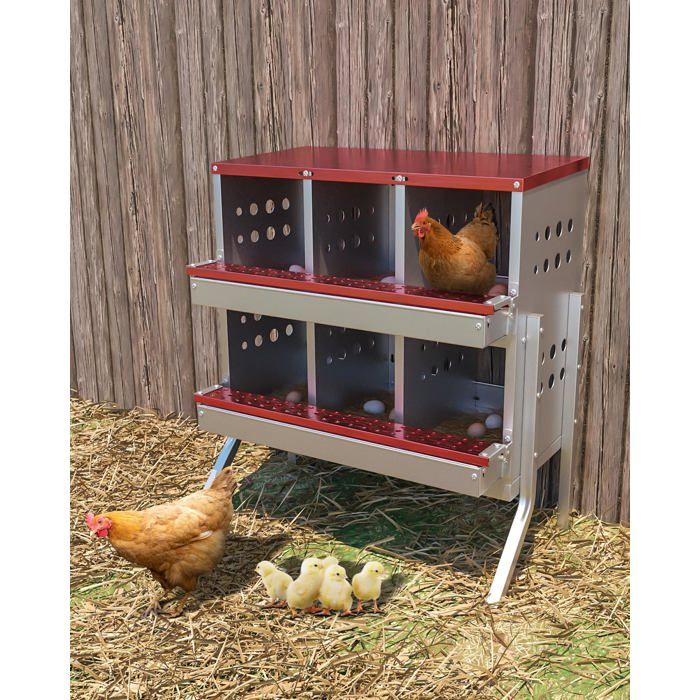 Boîte à œufs galvanisée sur pied 6 cases avec perchoir antirouille et œufs factices. Parfait pour poulailler extérieur-Rouge