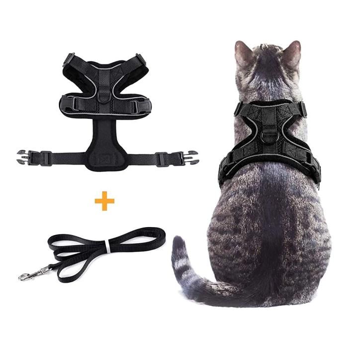 Harnais pour chat - Fournitures pour animaux - Réglable - Anti-évasion - Noir - Avec laisse