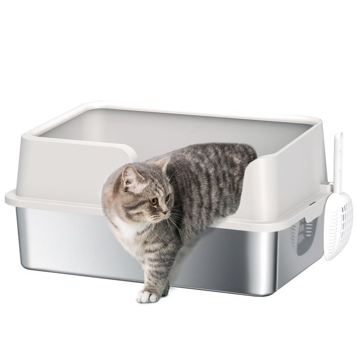 Litière pour chat - PawHut - avec côtés hauts pelle - nettoyage facile - 60 x 40 x 28 cm - gris clair