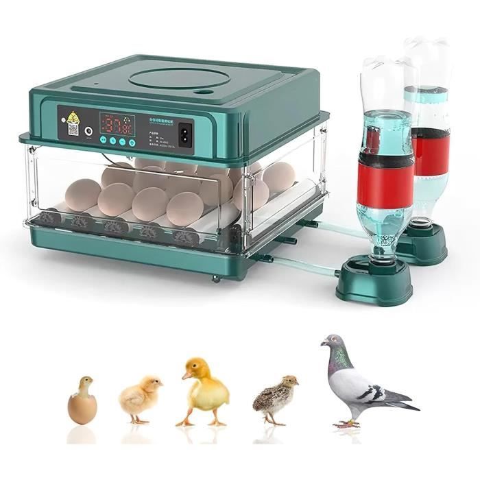 Couveuse Oeuf AutomatiqueAvec Surveillance De LHumiditéRetournement Automatique Des ŒufsAjout Automatique DEau Et Éclair[L29]