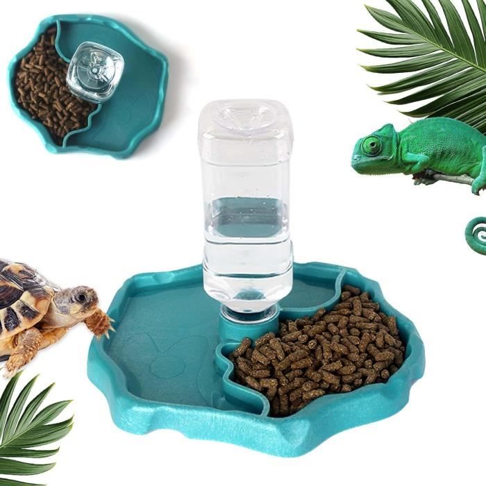 Distributeur deau Reptile Tortue Abreuvoir Tortue Terrestre 2 en 1 Bol deau de Terrarium Reptiles Accessoires LéZards