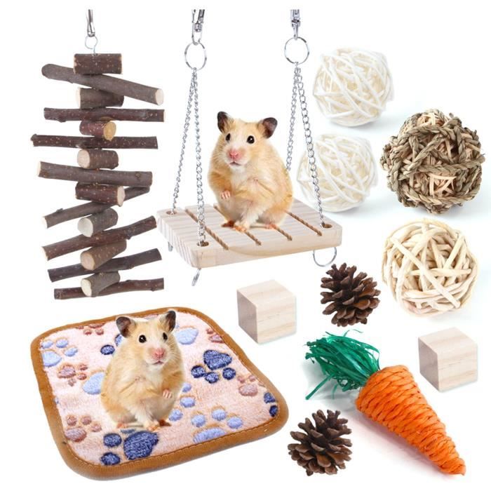 Lot de 12 jouets à mâcher en bois pour rongeurs — hamsters cochons dInde chinchillas gerbilles