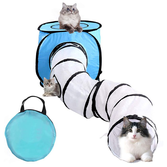 Ensemble de tunnel et cubes pliables pour chats aire de jeux interactive et flexible pour petits animaux de compagnie