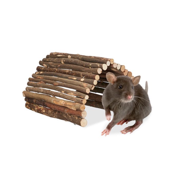 Relaxdays Pont en bois pour rongeurs 40 x 65 cm accessoire pour cage lapins cochons d’Inde hamsters nature