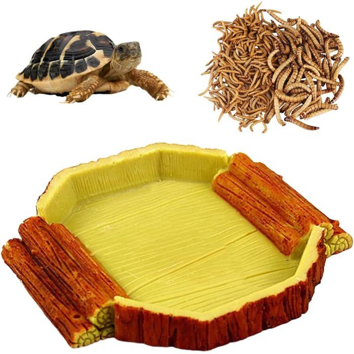 1 pièce Specialty Wood Grain Tortue Terrestre Water Bowl Enclos Tortue Terrestre Exterieur Terrarium Tortue Terrestre