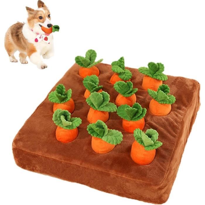 Jouet pour Chien - Carotte Squeaky - Peluche - Interactif - Tapis dalimentation