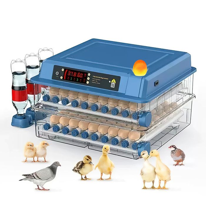 Couveuse Automatique 120 œufs - Retourneur doeufs Automatique - Contrôle de Température - Affichage de lhumidité - Candler LED