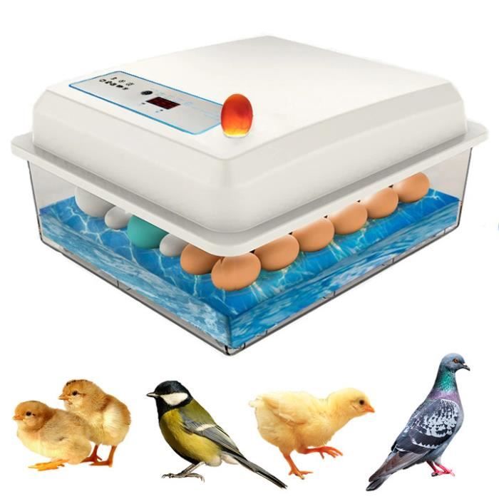 Couveuse Oeuf Automatique Incubateur Retournement & Température Normé hydratation de lit deau à ion deau automatique-20 Oeufs