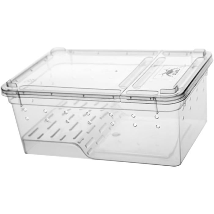 Boîte dalimentation pour amphibiens transparente terrariums pour araignée escargot grenouille lézard tortue