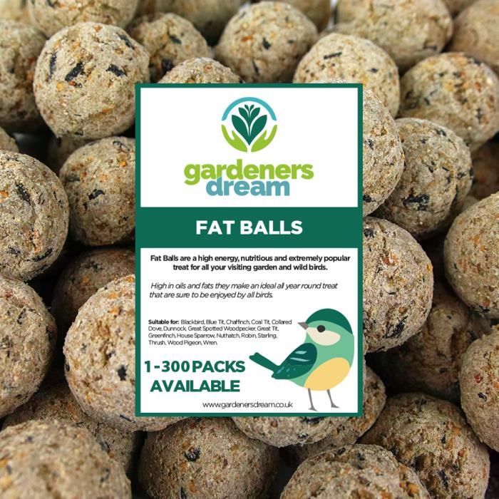 Boules de graisse  Friandises énergétiques pour oiseaux sauvages