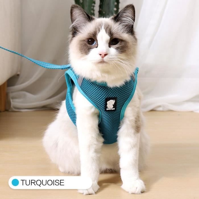 Harnais et laisse pour chat en maille réglable - Laisses Colliers - Type Turquoise-XS - Bleu