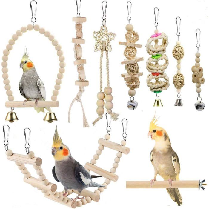 Ensemble de jouets balançoire pour perroquets et oiseaux – Perchoir à mâcher debout suspendu et échelle descalade pour oiseaux