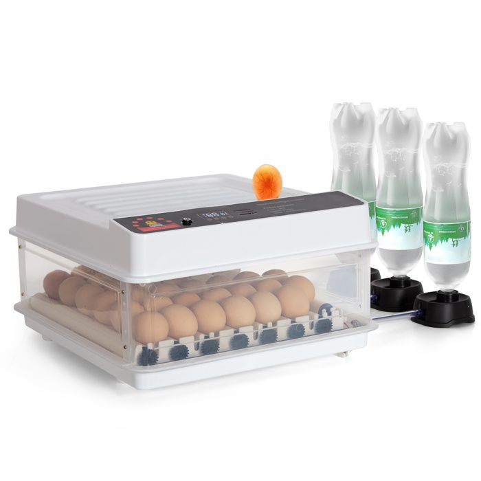 Couveuse Oeuf Automatique 48 œufs Retournement Automatique des œufs Contrôle de la Température Humidification avec Lampe à œuf