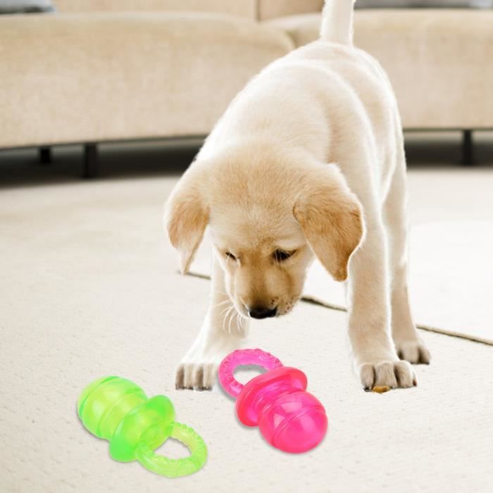 Jouet molaire pour chien tétine pour animaux de compagnie jouets pour animaux de compagnie 2 pièces pour chien chat animal