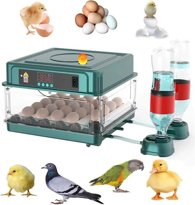 Couveuse Oeuf Automatique 24 OeufsRetournement Automatique des œufsIncubateur Oeuf AutomatiqueContrôle de Température et