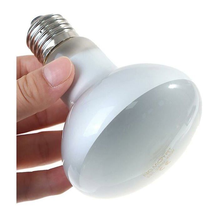 Uva + uvb Reptile Lampe Ampoule Tortue Se Prélasser Ampoules Uv Lampe Chauffante Amphibiens Lézards Contrôleur De Température - 60W