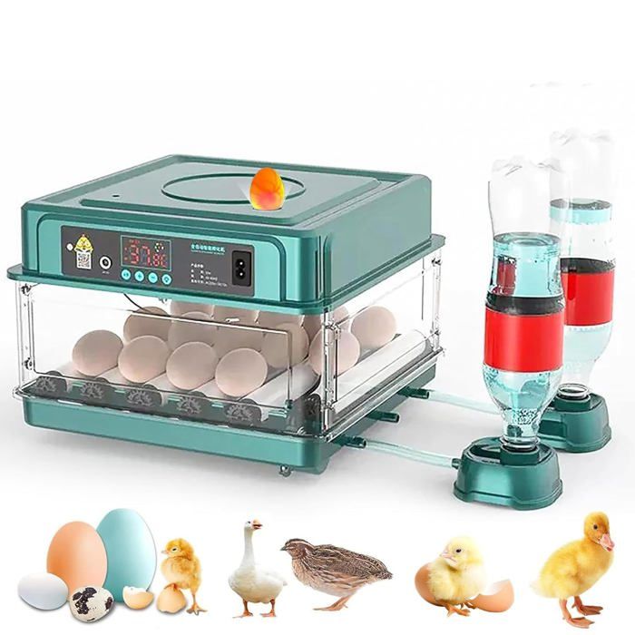 Couveuse Oeuf Automatique Incubateur Automatique 15 Oeufs avec Système de Retournement Automatique et Contrôle de la Température
