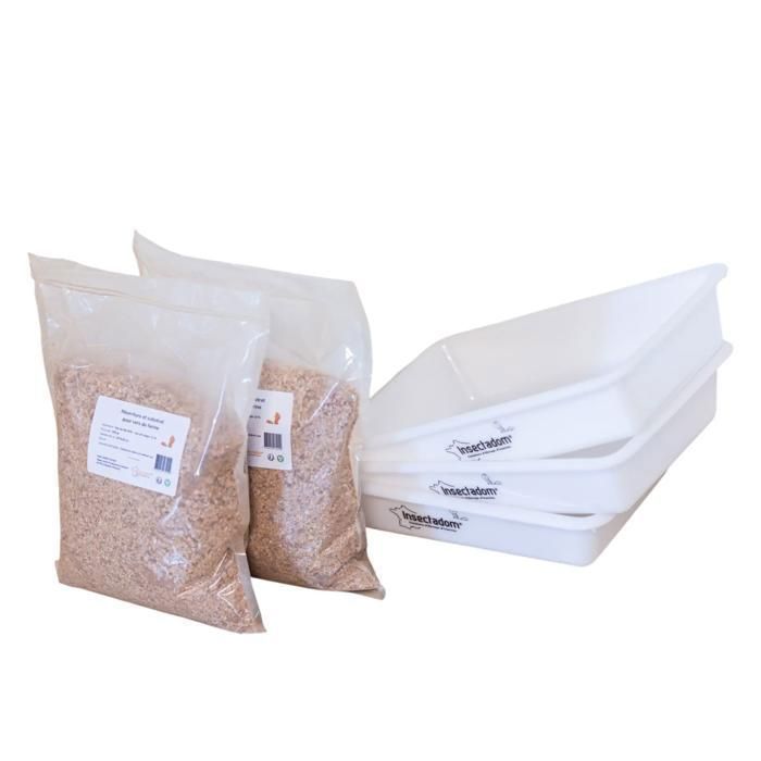 Kit délevage de vers de farine pour démarrer-INSECTADOM