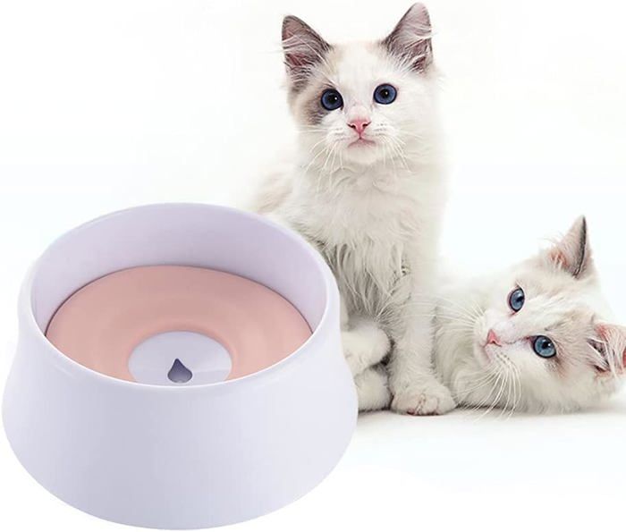 Gamelle pour animaux de compagnie gamelle anti-débordement pour chiens et chats gamelle pour chien pas déclaboussures pas de
