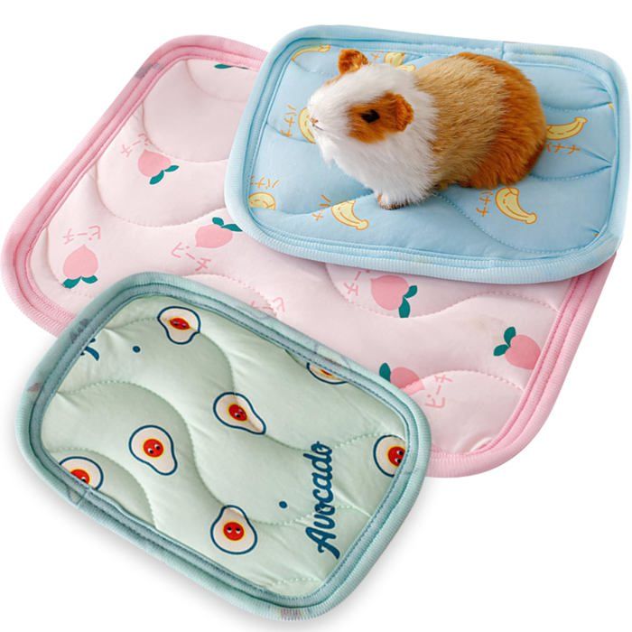 Lot de 3 Tapis Lapin Cochon dInde pour Petits Animaux Cochon dInde Accessoire Coussin de Refroidissement pour Lapin