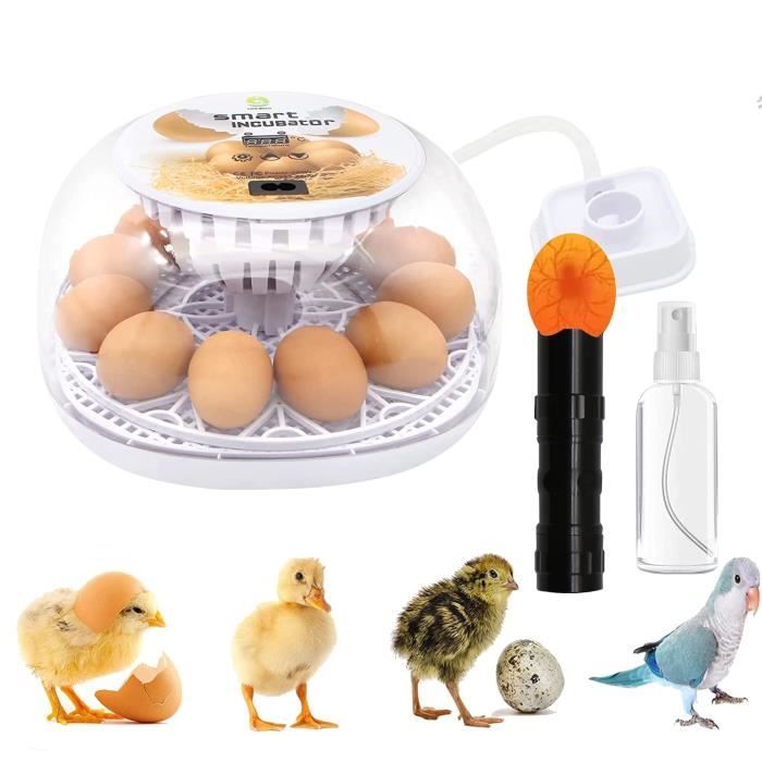 Couveuse Oeuf Automatique 12-24 Oeufs Retournement Testeur D oeufs Couveuses Œufs Volailles Machine D