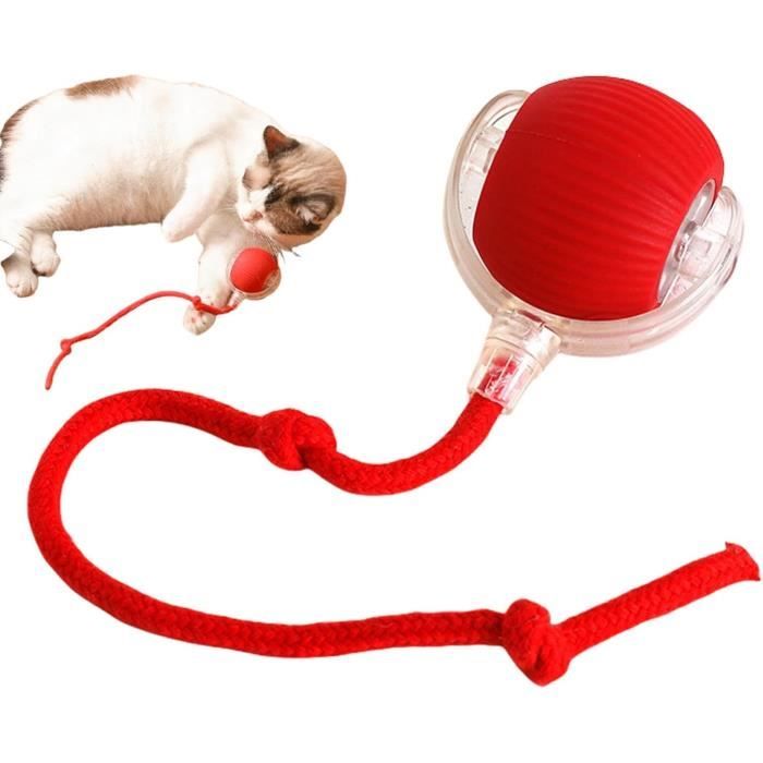 Jouet - Chewy - Viral Rolling Ball - Chat - Intérieur - Interactive