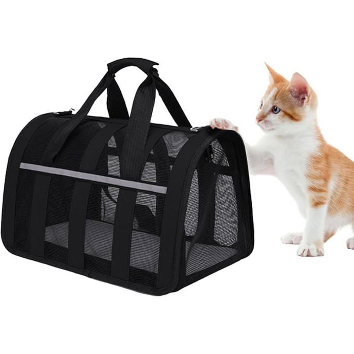 Sac de Transport pour Chat avec Matelas - Noir - Respirant et Pliable (33x25x22 cm) noir CAISSE DE TRANSPORT