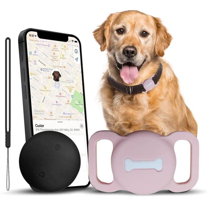 Traceur pour chat - Traceur pour chien - Traceur animalier avec collier de localisation - Traceur pour chien sans abonnement pour