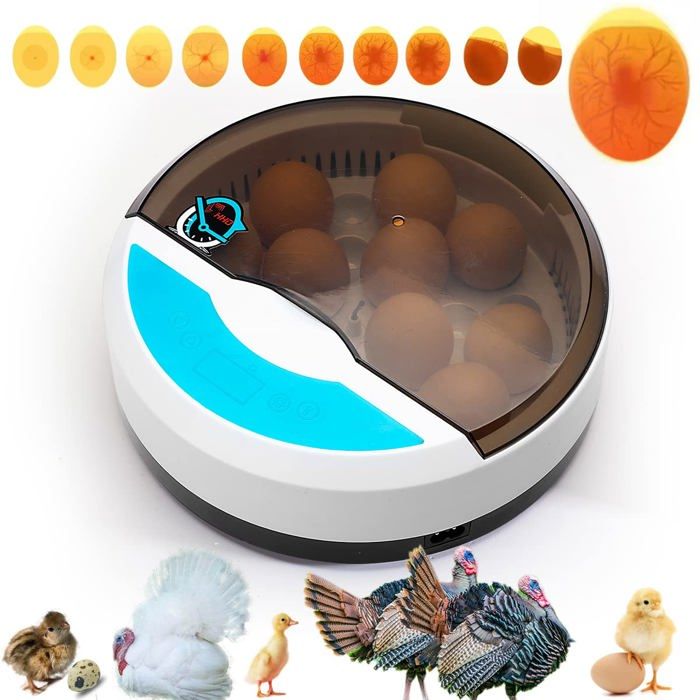 Couveuse Oeuf Automatique - Incubateur Oeuf Poule 9 Oeufs avec contrôle de la température - idéal pour pour Volaille Caille Oie