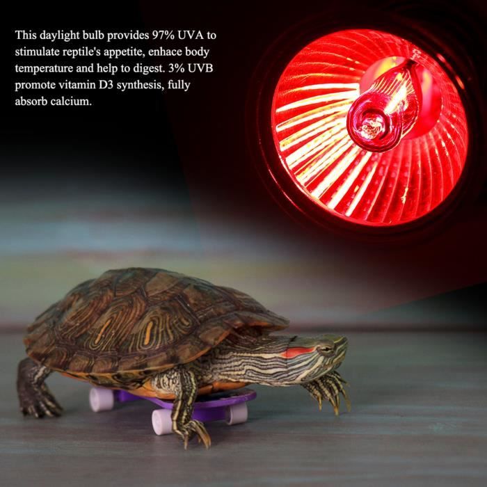 Lampe chauffante - ZERODIS - Tortue - 50W - UVA UVB - Verre de haute qualité
