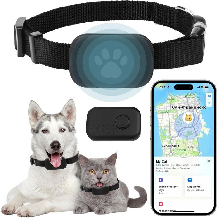 Collier traceur GPS pour chat avec localisation en temps réel - Sans abonnement - Compatible iOS/Android - Étanchéité IP67